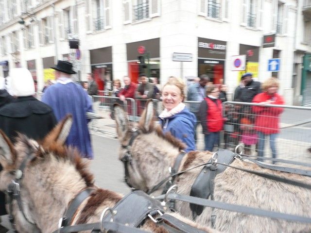 Orelans 8 mai 2014 (134).jpg